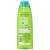 Garnier Fructis