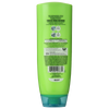 Garnier Fructis